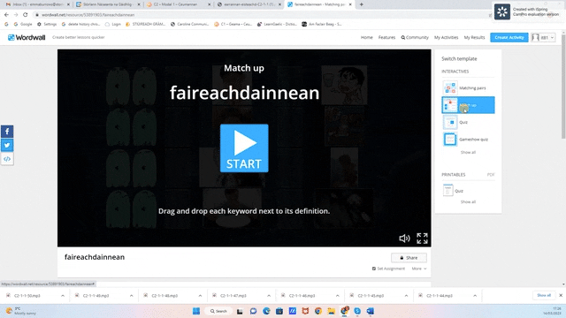Wordwall example